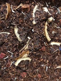 Rooibos Smultron & fläder
