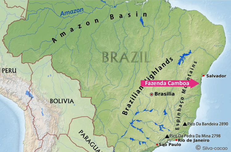 Brazil - Fazenda Camboa (Single Plantation) (1KG)