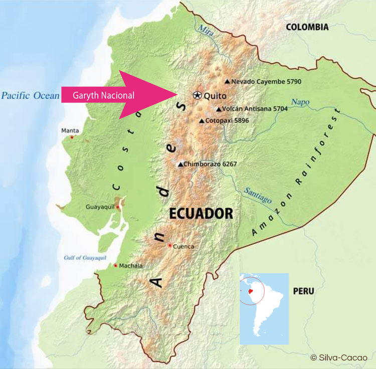 Ecuador - Finca Garyth Pure Nacional (1KG)