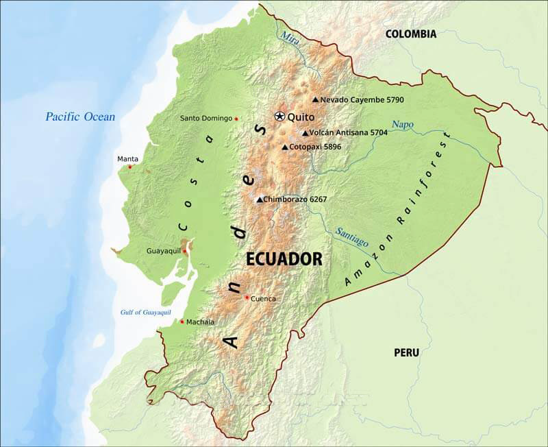 Ecuador - Wild Harvest Direct Trade (1KG)