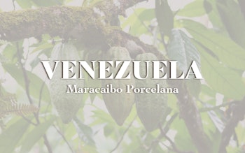 Venezuela - Maracaibo Porcelana (1KG)