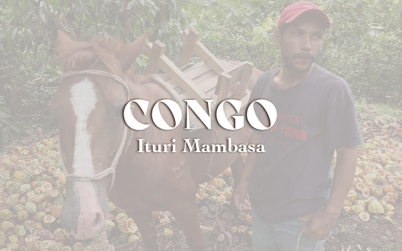 Congo - Ituri Mambasa (1KG)