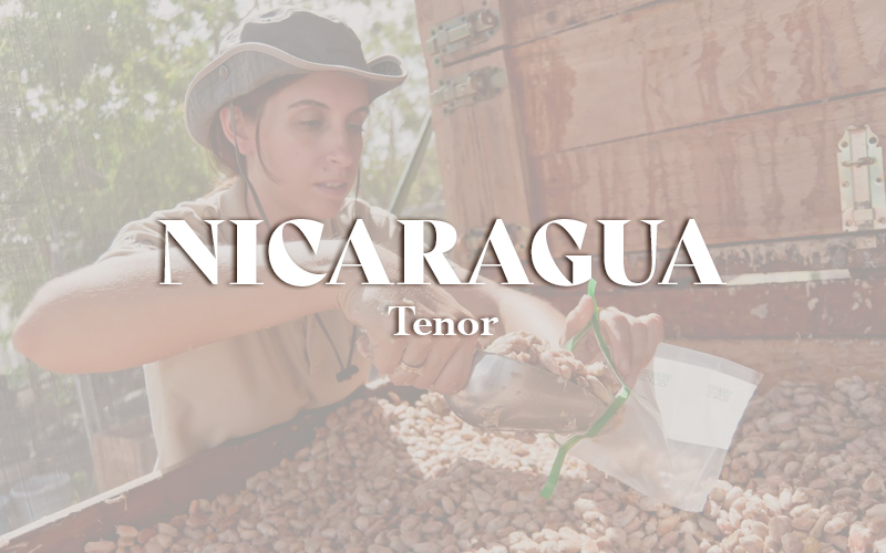 Nicaragua - Tenor (1KG)