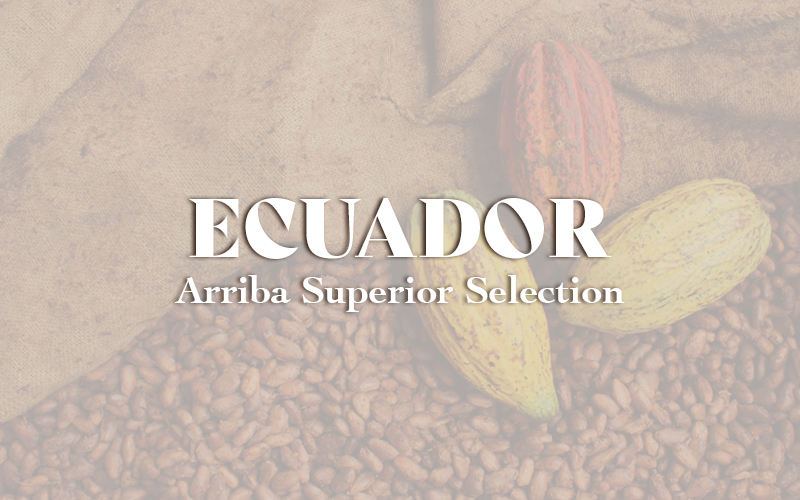 Ecuador - Arriba Superior Selection (1KG)