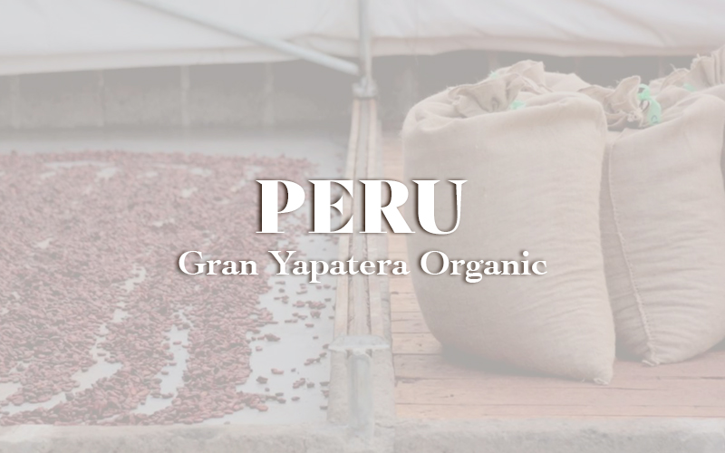 Peru Gran Yapatera Organic (1KG)