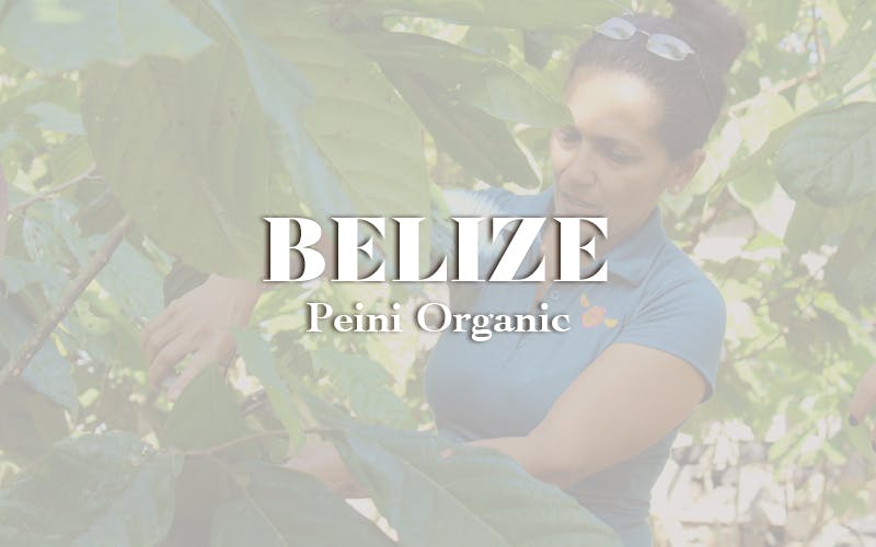 Belize - Peini Organic (1KG)