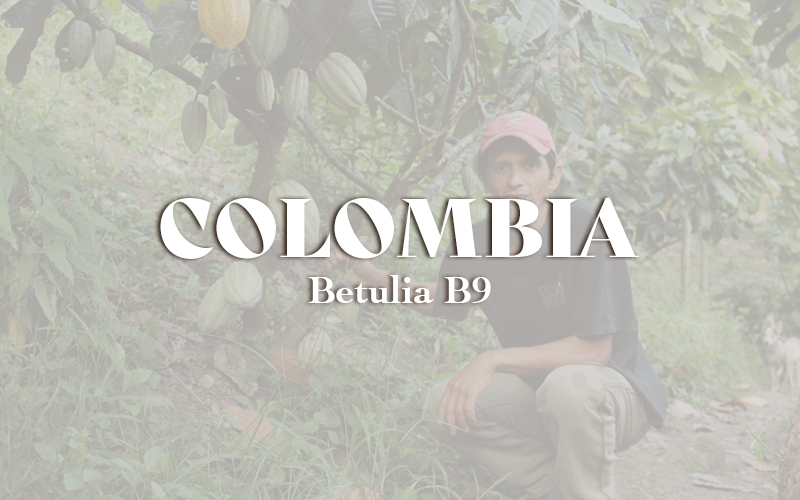 Colombia - Betulia B9 (1KG)