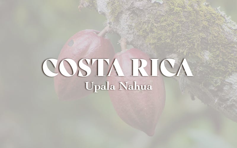 Costa Rica - Upala Nahua (1KG)