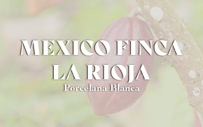 Mexico Finca La Rioja Porcelana Blanca (1KG)