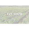 Ecuador - Finca Garyth Pure Nacional (1KG)