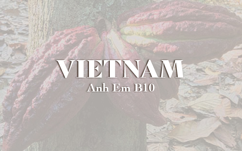 Vietnam - Anh Em B10