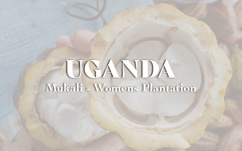 Uganda - Mukali (women's plantation)