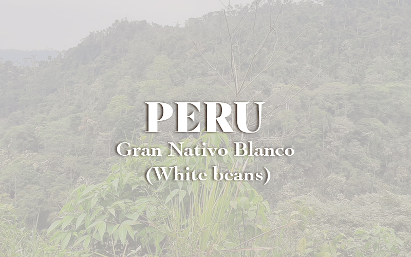 Peru - Gran Nativo Blanco (White beans)