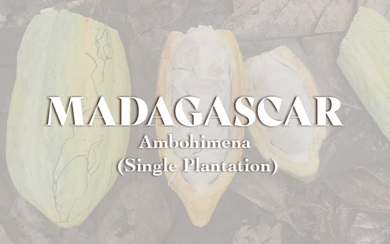 Madagascar - Ambohimena (Single Plantation)