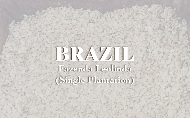 Brazil - Fazenda Leolinda (Single Plantation) (1KG)