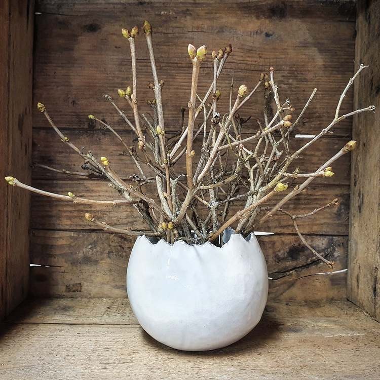 Ägg litet