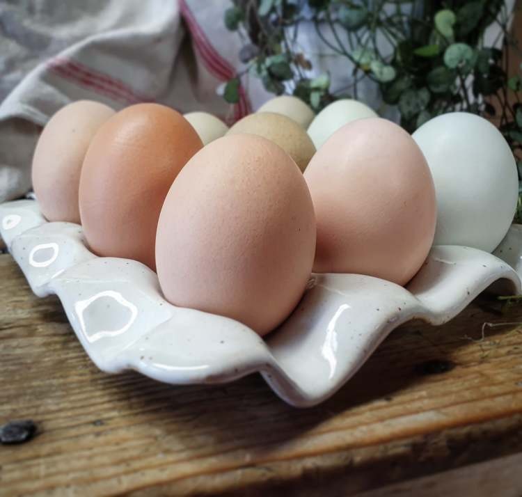 Äggfat 9 ägg, vitt