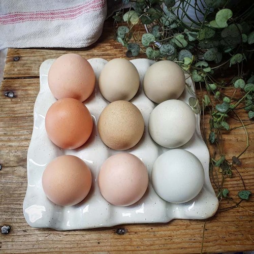 Äggfat 9 ägg, vitt