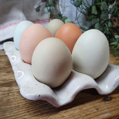 Äggfat 6 ägg, vitt