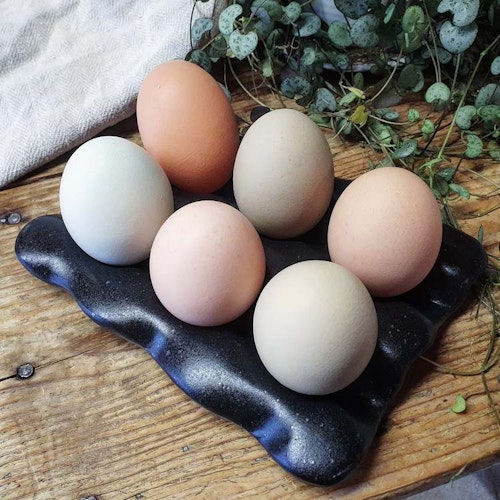 Äggfat 6 ägg, svart