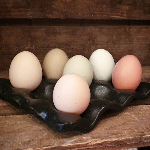 Äggfat 9 ägg, svart