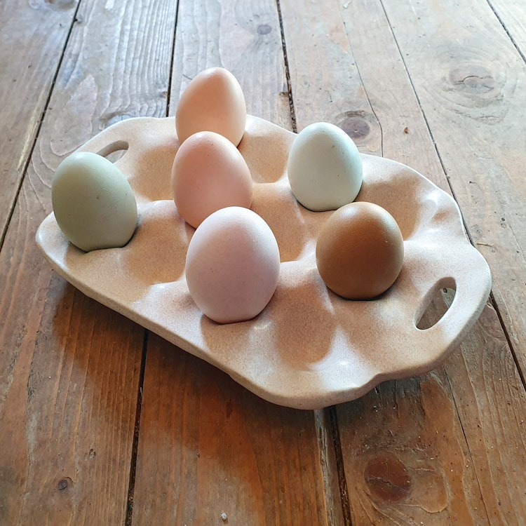 Äggfat 6 eller 12 ägg