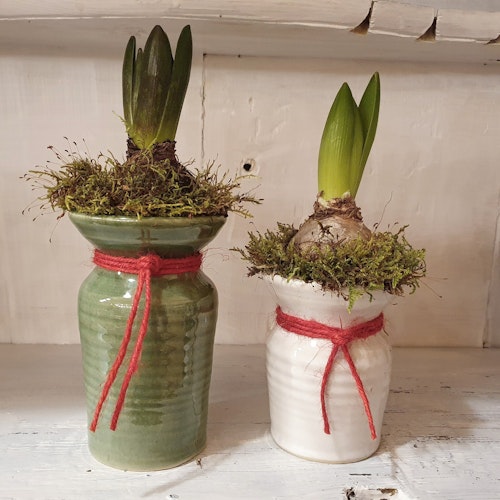 Vas för hyacint eller blommor
