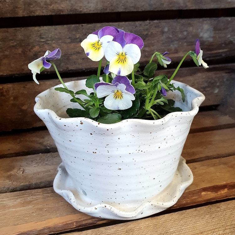 Söt blomkruka och fat i ett