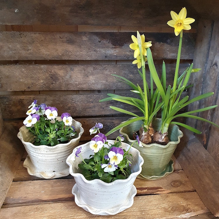 Söt blomkruka och fat i ett