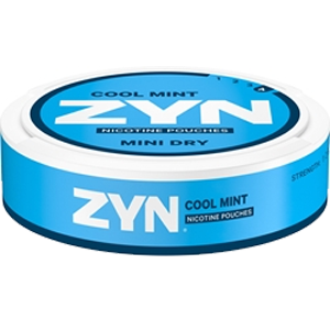 Zyn Mint Dry cool mint no4