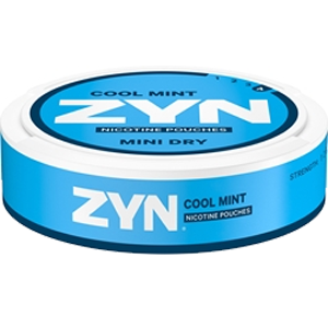 Zyn Mint Dry cool mint no4