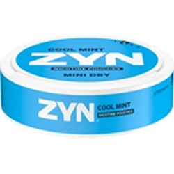 Zyn Mint Dry cool mint no2
