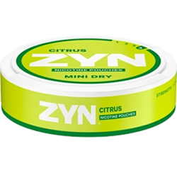 Zyn Mint Dry citrus no4
