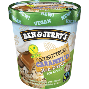Ben & Jerry Non Dairy carameld