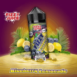 Fizzy blueberry lemonade 100ml