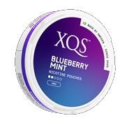 Xqs blueberry mint no2