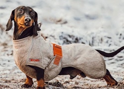 Non-Stop Hundväst GPS - Köp Jaktutrustning, Jaktkläder och jakttillbehör  från Jakt & Vildmark