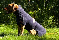 Siccaro - Wetdog Classic Supreme 2.0