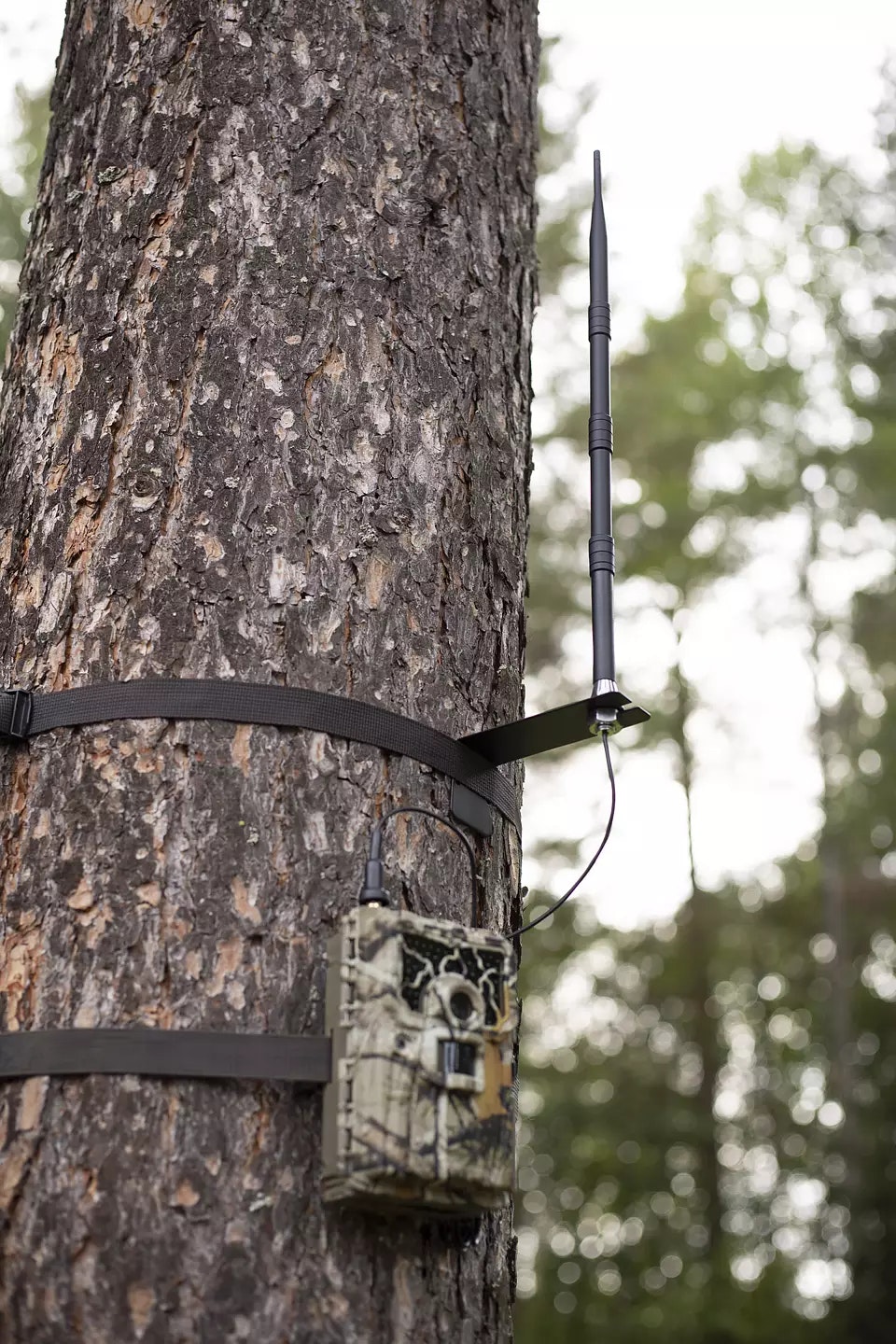 *STORSÄLJARE* UOVision Booster 4G / 3G / 2G antenn