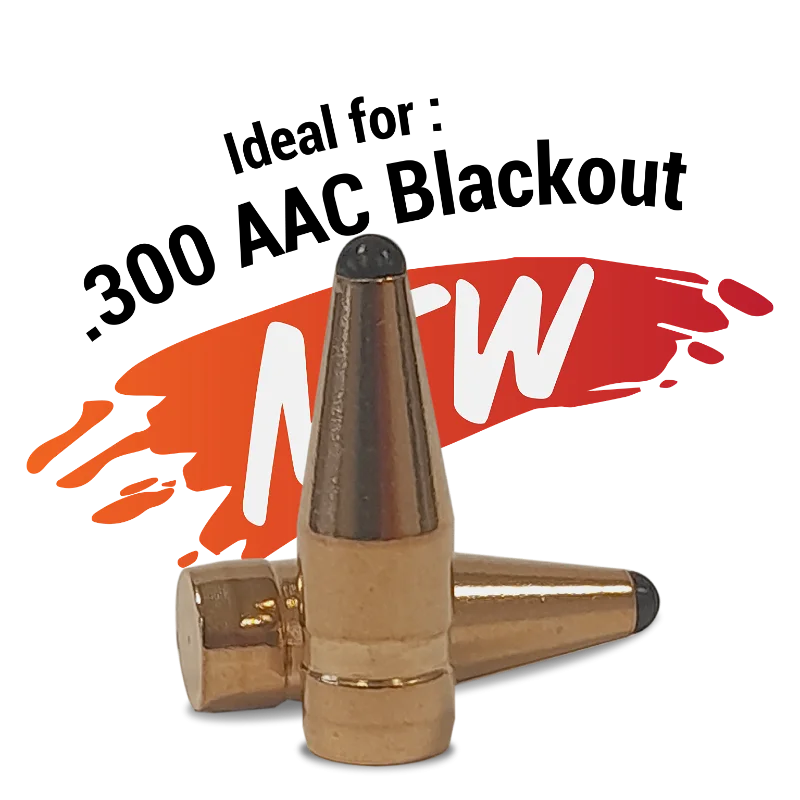 Fox Classic Hunter .30 (.308) - 110 gr, 50 ask