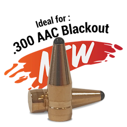Fox Classic Hunter .30 (.308) - 110 gr, 50 ask