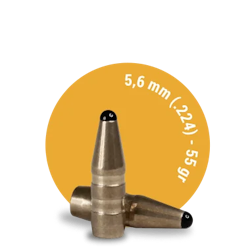 Fox Classic Hunter 5,6 mm (.224) - 55 gr, 50 ask