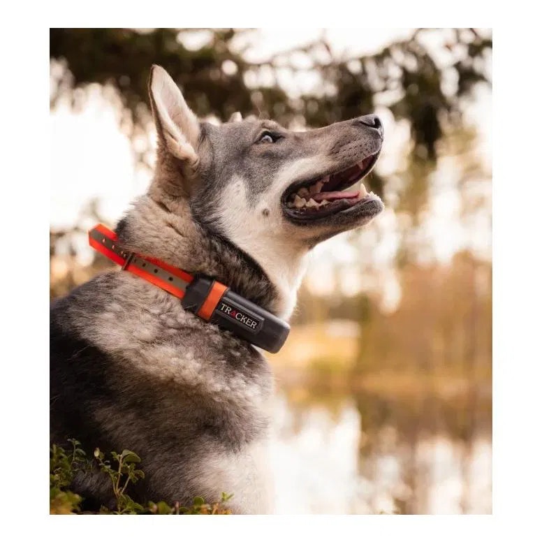 Tracker LUNA