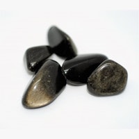Obsidian, guld - trumlad