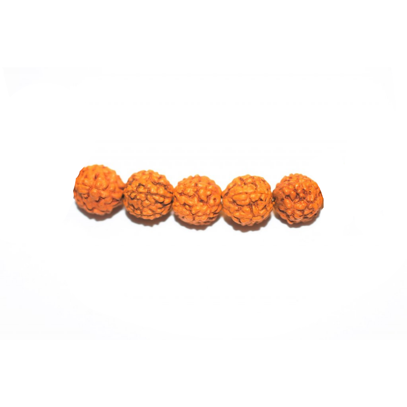 Rudraksha, pärlor