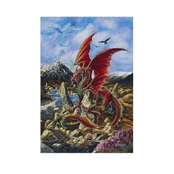 Fire Dragon - kort