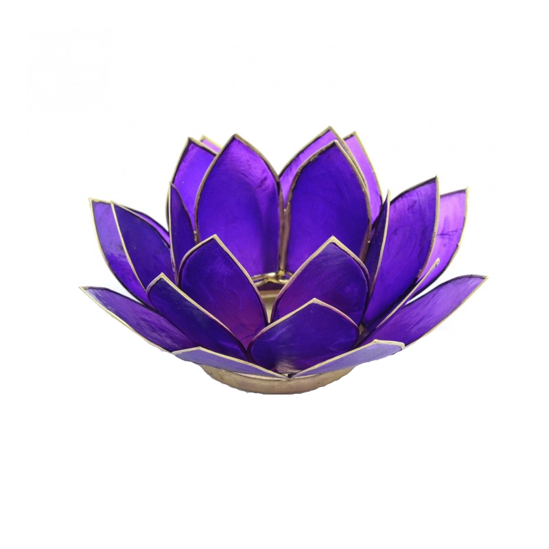 Lotusblomma, ljushållare