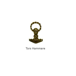 Amulett - Tors hammare