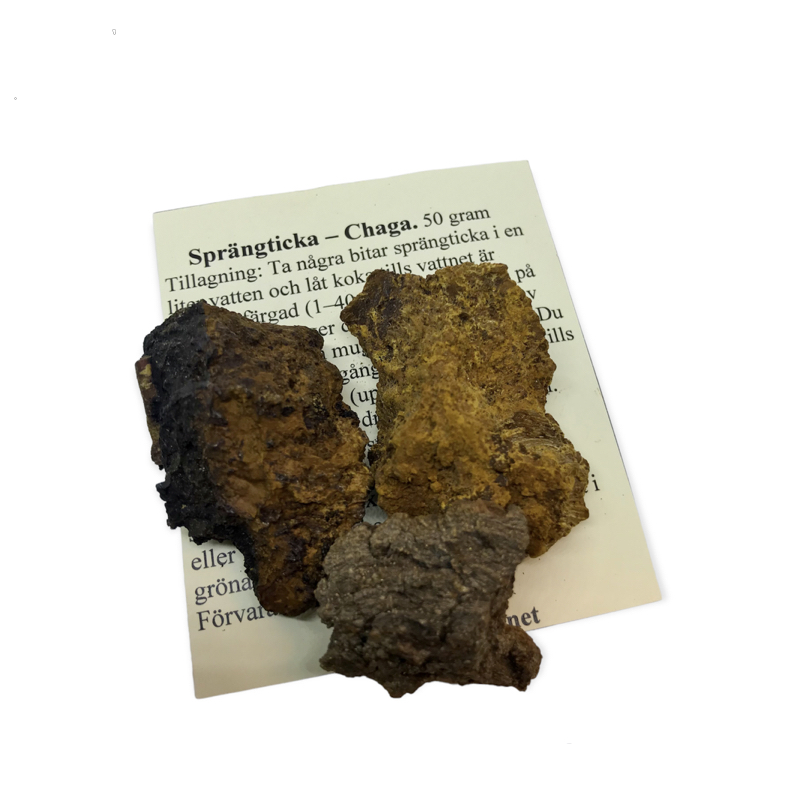 Chaga - Sprängticka, 50 gram