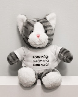 Gosedjur: Katt med t-shirt